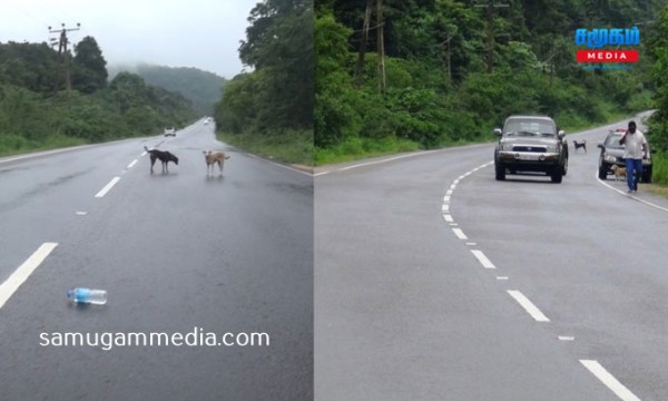 இலங்கையில் முதன்முறையாக ஒளியியல் மாயையுடன் கூடிய வீதி கண்டுபிடிப்பு..! 